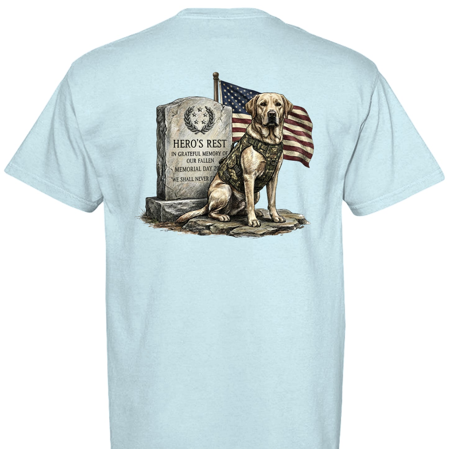 CHAMBRAY - C1717 - BACK